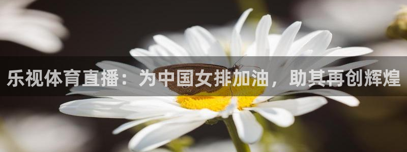 乐视体育直播：为中国女排加油，助其再创辉煌