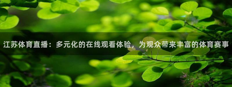 江苏体育直播：多元化的在线观看体验，为观众带来丰富的体育赛事