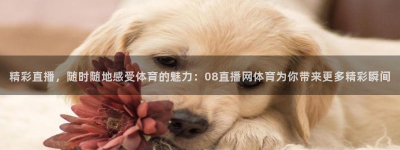 精彩直播，随时随地感受体育的魅力：08直播网体育为你带来更多精彩瞬间