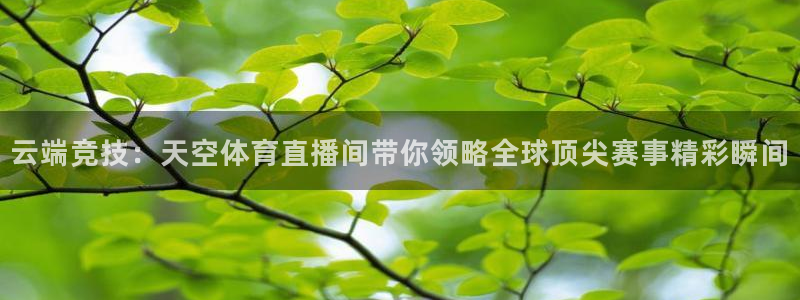 云端竞技：天空体育直播间带你领略全球顶尖赛事精彩瞬间