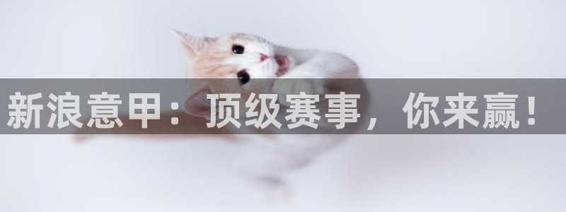 新浪意甲：顶级赛事，你来赢！