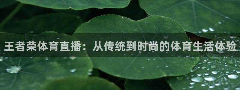 王者荣体育直播：从传统到时尚的体育生活体验