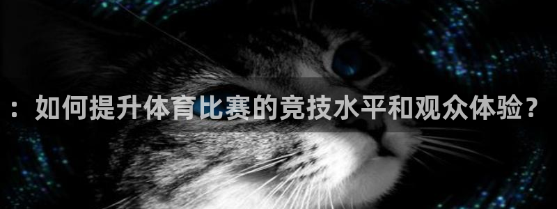 ：如何提升体育比赛的竞技水平和观众体验？
