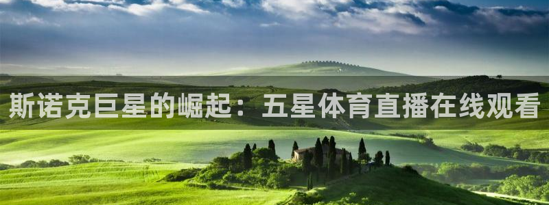 斯诺克巨星的崛起：五星体育直播在线观看