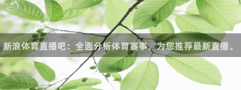 新浪体育直播吧：全面分析体育赛事，为您推荐最新直播。