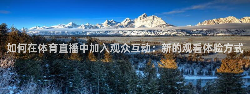 如何在体育直播中加入观众互动：新的观看体验方式