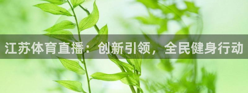 江苏体育直播：创新引领，全民健身行动