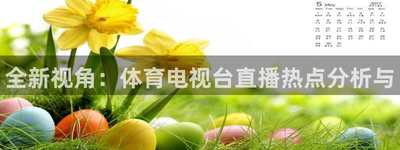 全新视角：体育电视台直播热点分析与