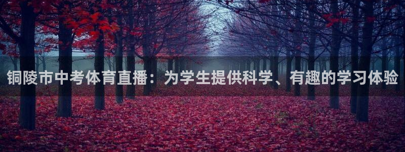 铜陵市中考体育直播：为学生提供科学、有趣的学习体验