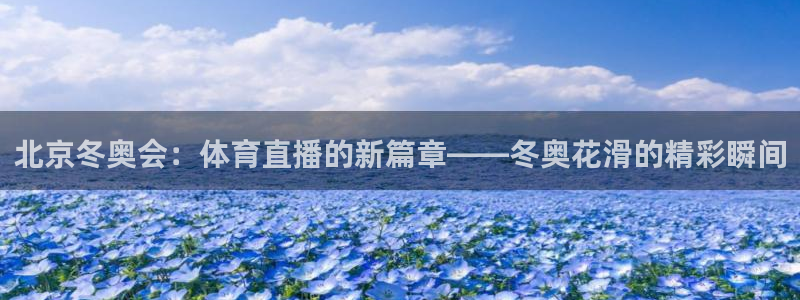 北京冬奥会：体育直播的新篇章——冬奥花滑的精彩瞬间
