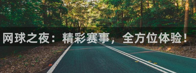网球之夜：精彩赛事，全方位体验！